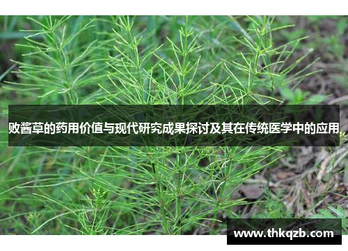 败酱草的药用价值与现代研究成果探讨及其在传统医学中的应用