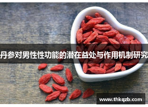 丹参对男性性功能的潜在益处与作用机制研究