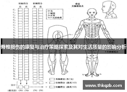 脊椎损伤的康复与治疗策略探索及其对生活质量的影响分析